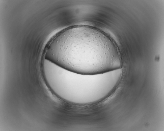 X0000092251125200709141000