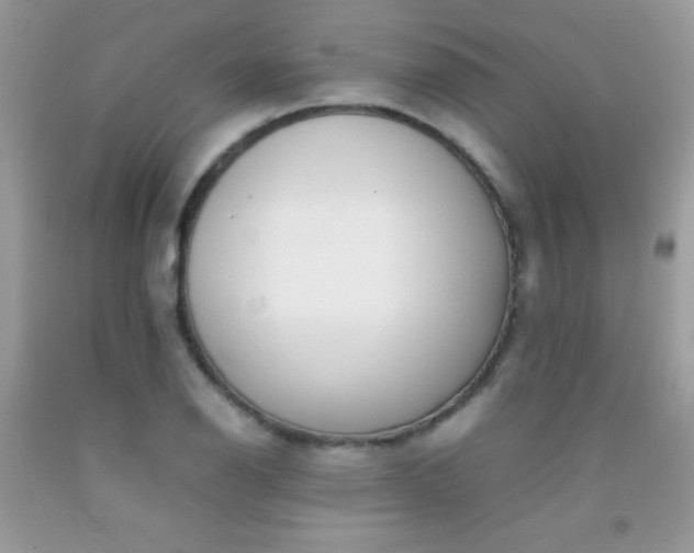 X0000092251126200709141000