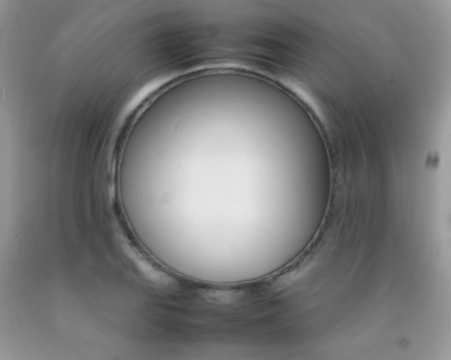 X0000092251127200709141000