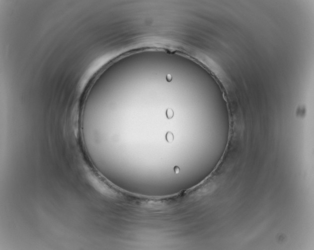 X0000092251128200709141000