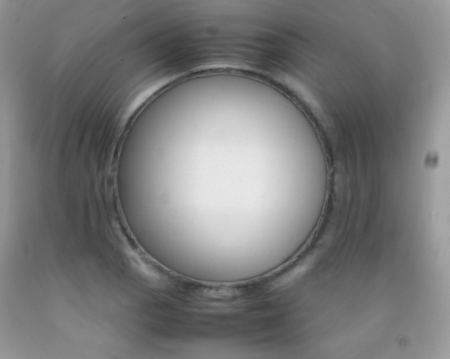 X0000092251129200709141000