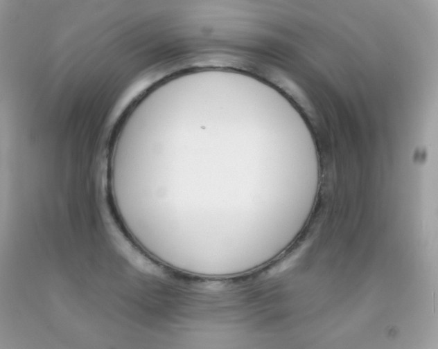 X0000092251130200709141000