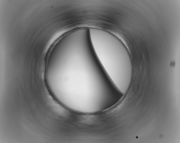 X0000092251131200709141000