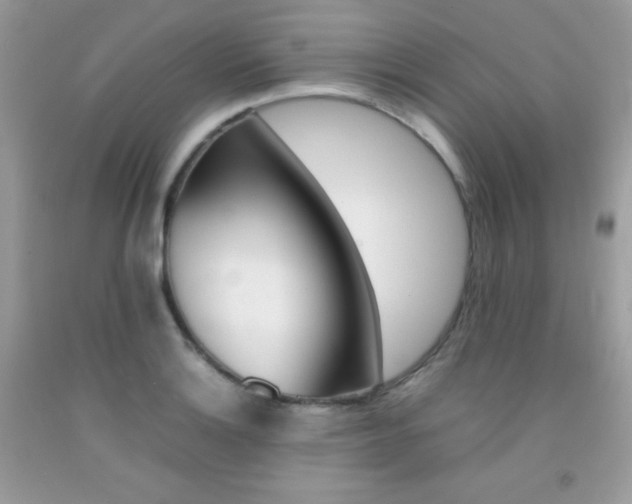 X0000092251132200709141000