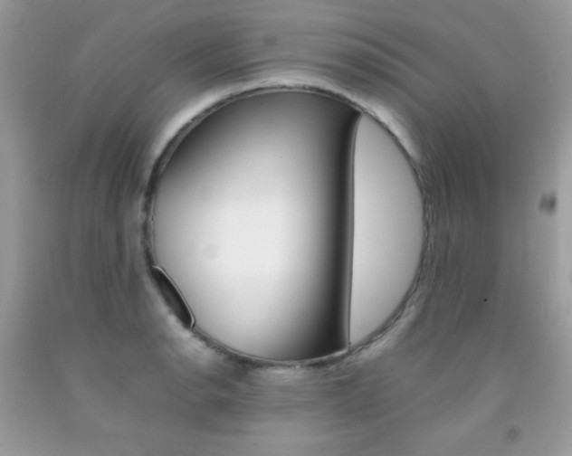 X0000092251134200709141000