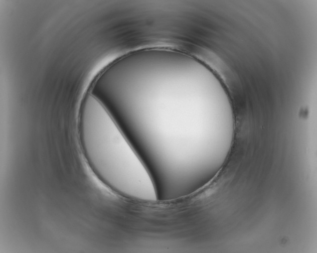 X0000092251135200709141000