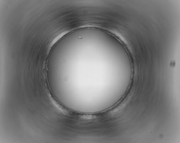 X0000092251137200709141000