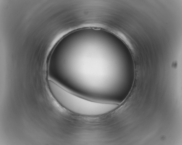 X0000092251140200709141000