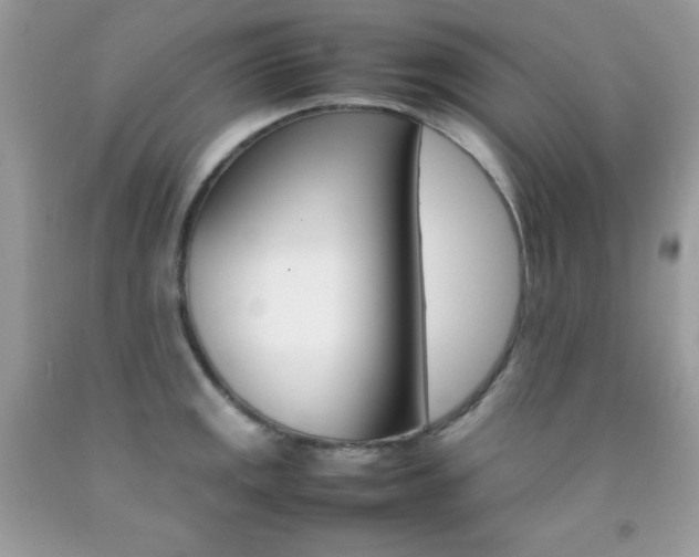 X0000092251141200709141000