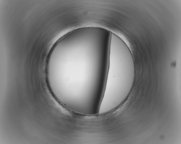 X0000092251142200709141000