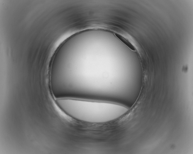 X0000092251143200709141000