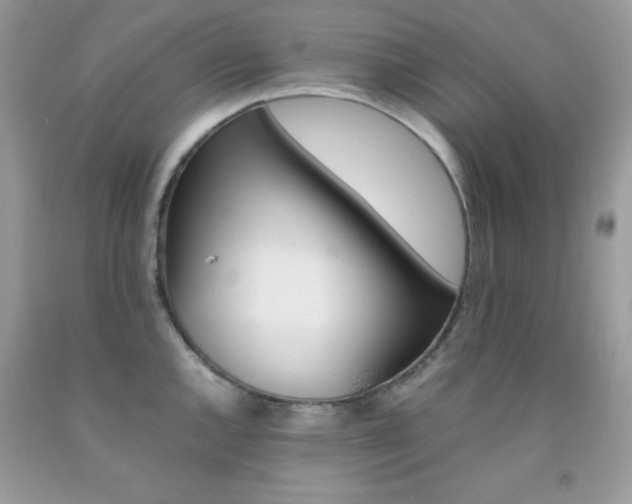 X0000092251144200709141000