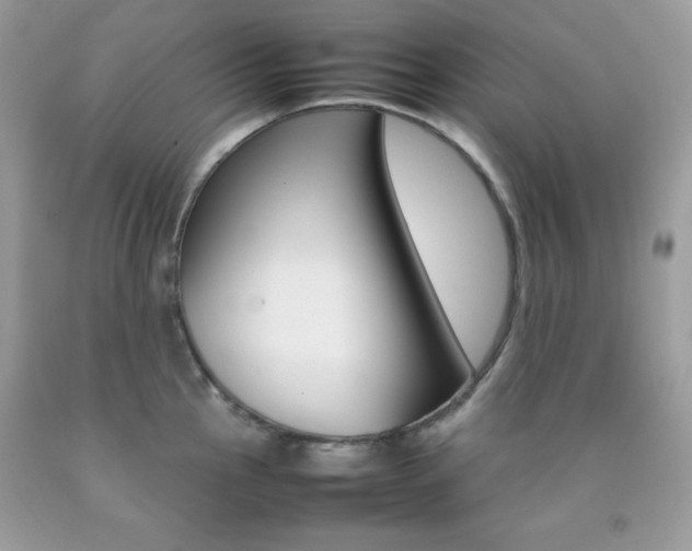X0000092251145200709141000