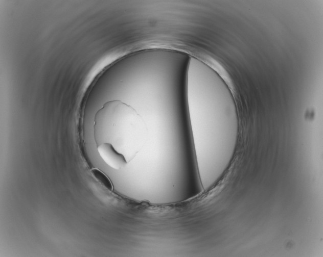 X0000092251146200709141000