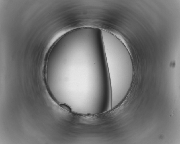 X0000092251147200709141000
