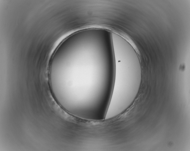 X0000092251148200709141000