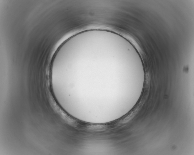 X0000092251150200709141000