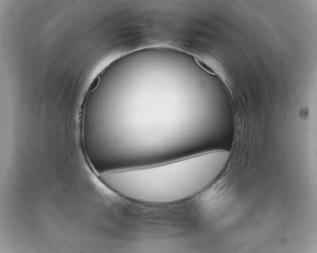 X0000092251151200709141000