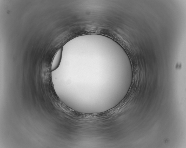 X0000092251154200709141000