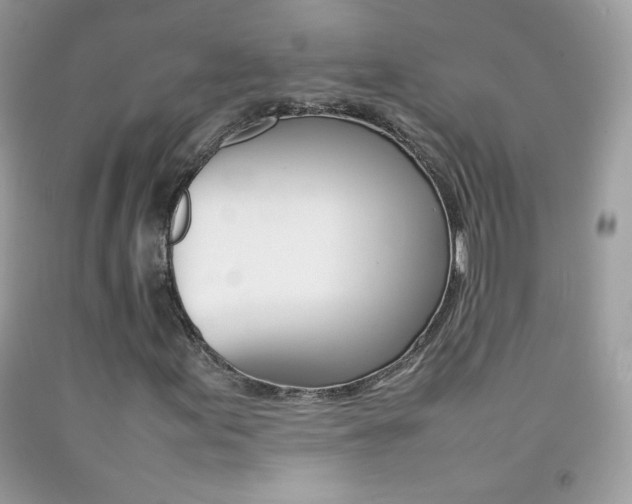 X0000092251155200709141000