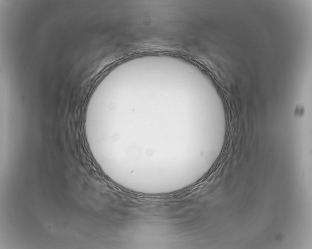 X0000092251157200709141000