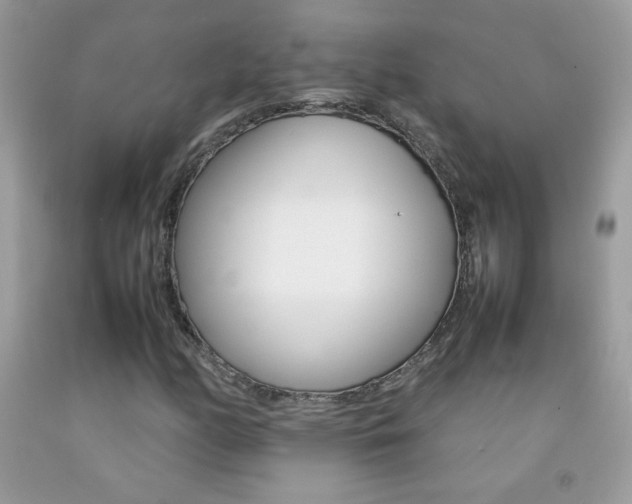 X0000092251158200709141000