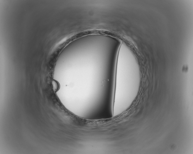 X0000092251159200709141000