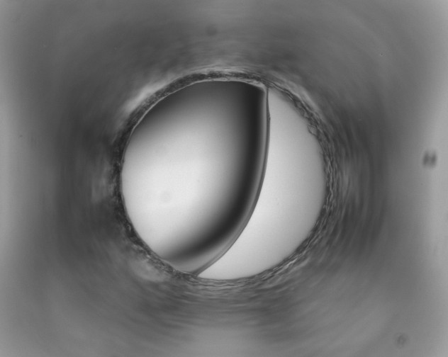 X0000092251160200709141000