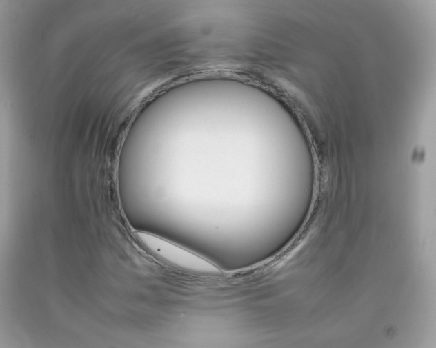 X0000092251161200709141000