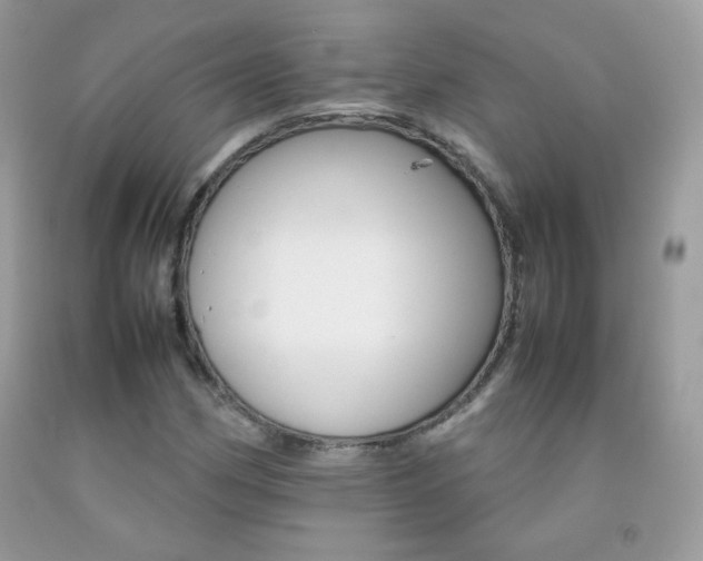 X0000092251162200709140959