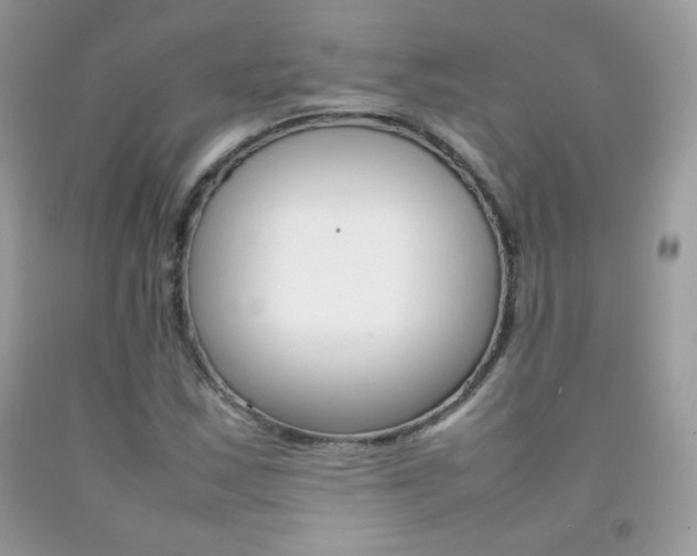 X0000092251163200709140959