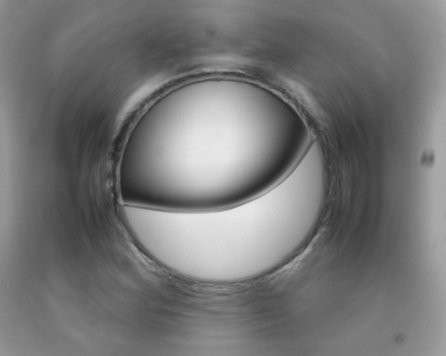 X0000092251164200709140959
