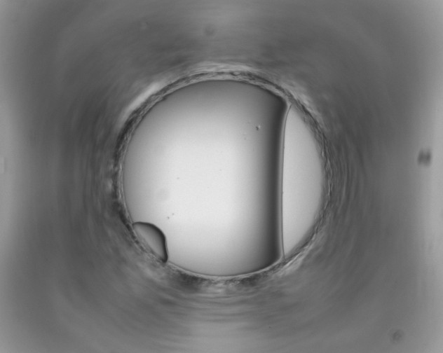 X0000092251165200709140959