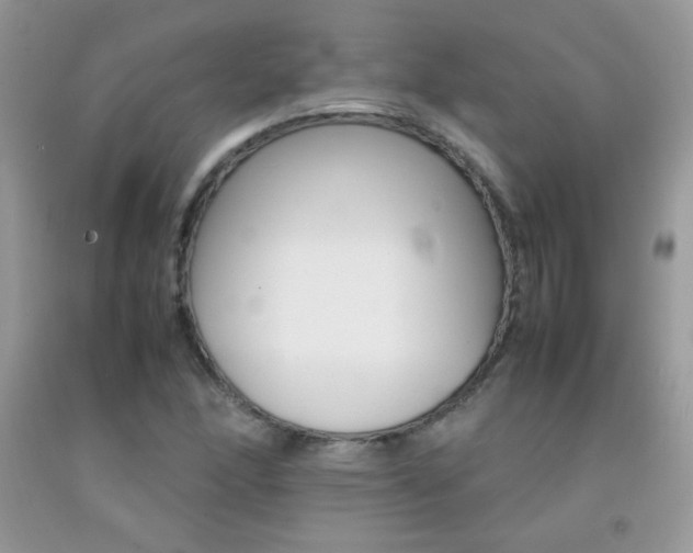 X0000092251166200709140959