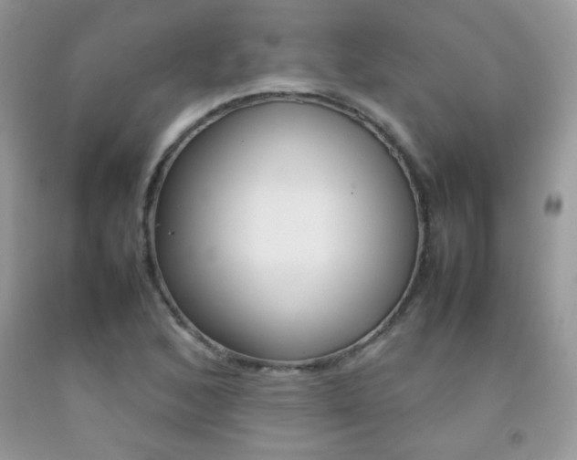 X0000092251168200709140959