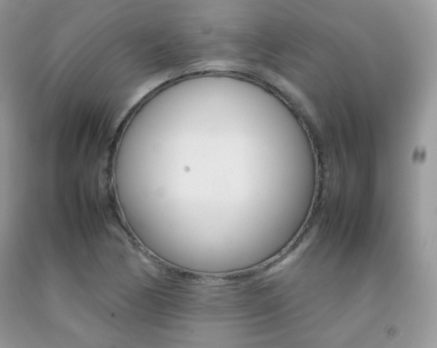 X0000092251170200709140959