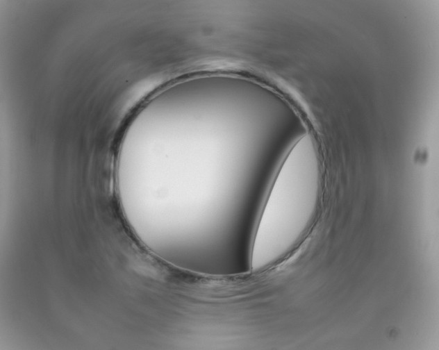 X0000092251171200709140959