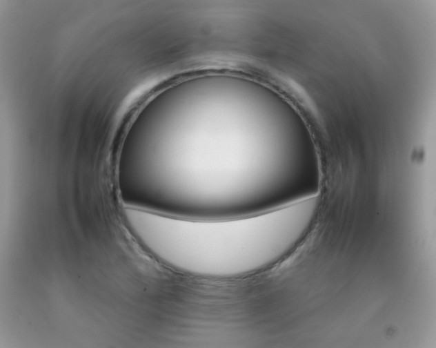 X0000092251172200709140959