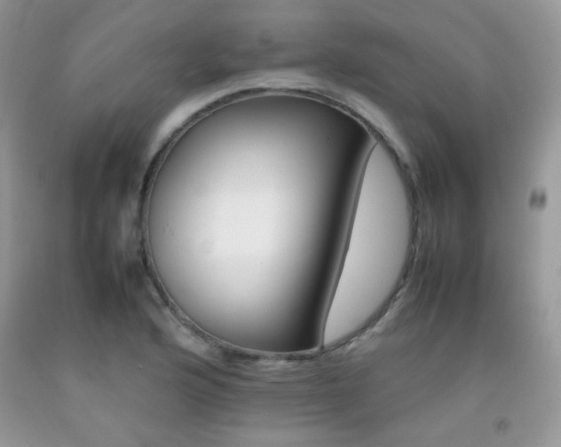 X0000092251176200709140959