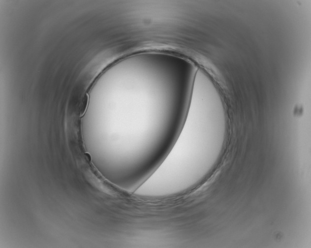 X0000092251177200709140959