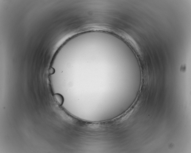 X0000092251182200709140959
