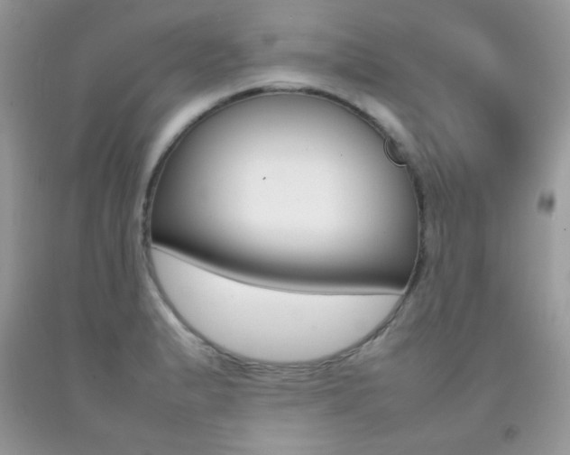 X0000092251183200709140959