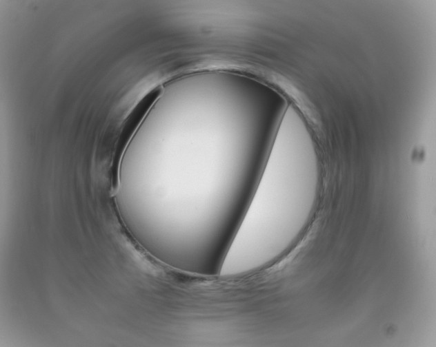 X0000092251185200709140959