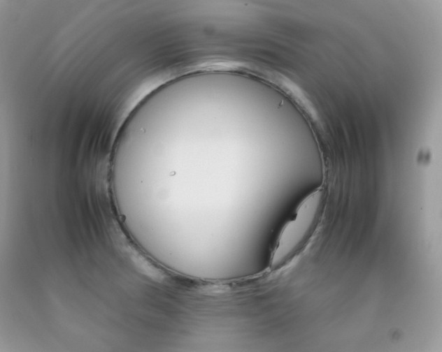 X0000092251186200709140959