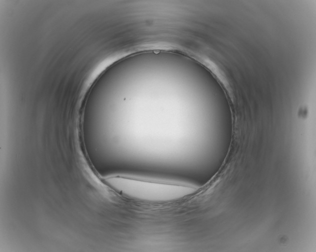 X0000092251187200709140959