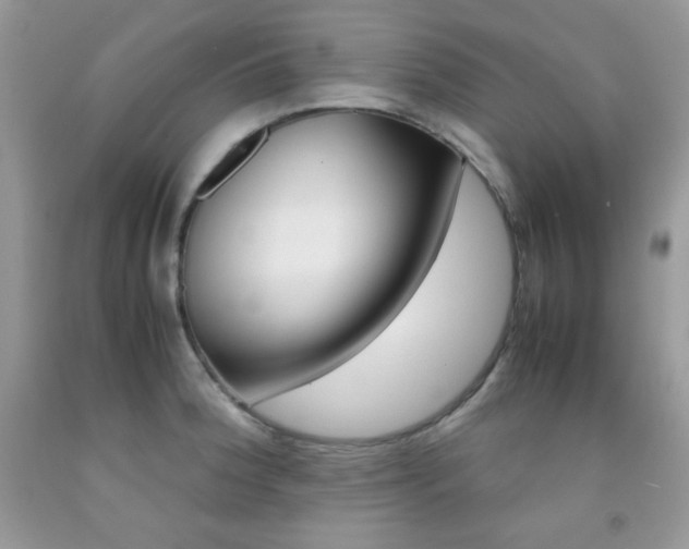 X0000092251188200709140959