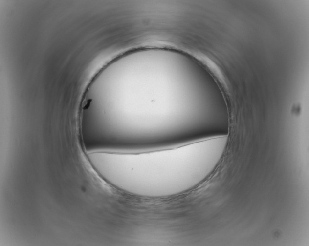 X0000092251191200709140959