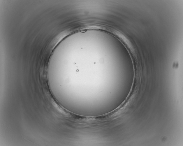 X0000092251193200709140959