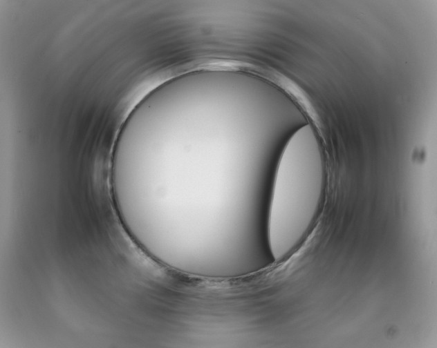 X0000092251194200709140959