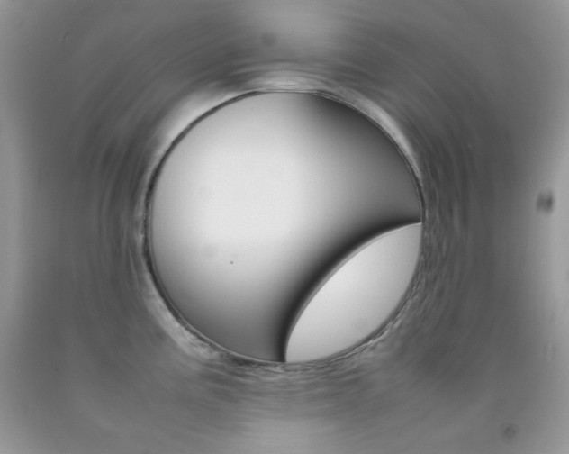 X0000092251195200709140959